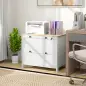 Mueble Archivador con 2 Cajones 2 Barras Colgantes Cerradura y 2 Llaves para Tamaño A4 79x40x72 cm Blanco y Roble