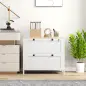 Mueble Archivador con 2 Cajones 2 Barras Colgantes Cerradura y 2 Llaves para Tamaño A4 79x40x72 cm Blanco y Roble