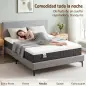 Colchón 190x135 cm Grosor 25 cm Colchón Viscoelástico de Muelles Ensacados de 7 Zonas Firmeza Media Funda Lavable Colchón 190x135 cm Grosor 25 cm Colchón Viscoelástico de Muelles Ensacados de 7 Zonas Firmeza Media Funda Lavable