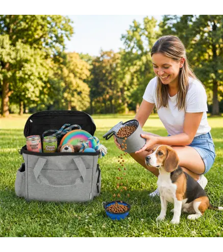 Transportín para Perros Bolsa de Premios con 2 Contenedores de Pienso y Cuenco Plegable Bolsillos, Gris Claro