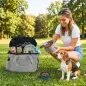 Transportín para Perros Bolsa de Premios con 2 Contenedores de Pienso y Cuenco Plegable Bolsillos, Gris Claro Transportín para Perros Bolsa de Premios con 2 Contenedores de Pienso y Cuenco Plegable Bolsillos, Gris Claro
