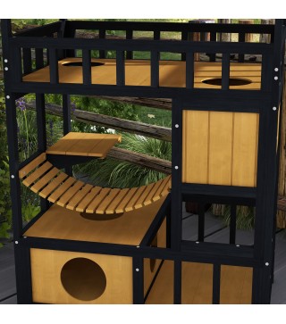Caseta para Gatos