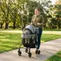 Cochecito para Perro Carrito 3 en 1 Desmontable Plegable Capazo Extraíble y Sin Cremallera Suspensión Gris