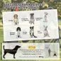 Remolque de Bicicleta Perros 2 en 1 Carrito Perros Medianos Plegable con Suspensión Neumáticos Grandes Ventanas Verde Remolque de Bicicleta Perros 2 en 1 Carrito Perros Medianos Plegable con Suspensión Neumáticos Grandes Ventanas Verde