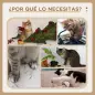 Poste Rascador para Gatos de 80 cm Árbol para Gatos con Poste de Sisal y Bola Colgante 38x38x80 cm Roble Poste Rascador para Gatos de 80 cm Árbol para Gatos con Poste de Sisal y Bola Colgante 38x38x80 cm Roble