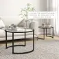 Juego de 2 Mesas Nido Mesas de Centro Redondas Tablero de Cristal Templado Marco de Acero Negro y Transparente