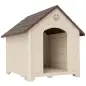Caseta para Perros Exterior Casa para Perros Extragrandes de Plástico con 2 Ventanas Base Elevada Estacas Beige Caseta para Perros Exterior Casa para Perros Extragrandes de Plástico con 2 Ventanas Base Elevada Estacas Beige