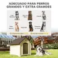 Caseta para Perros Exterior Casa para Perros Extragrandes de Plástico con 2 Ventanas Base Elevada Estacas Beige Caseta para Perros Exterior Casa para Perros Extragrandes de Plástico con 2 Ventanas Base Elevada Estacas Beige