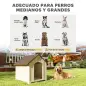 Caseta para Perros Exterior Casa para Perros Grandes de Plástico con 2 Ventanas Base Elevada Estacas Beige