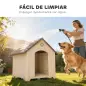 Caseta para Perros Exterior Casa para Perros Grandes de Plástico con 2 Ventanas Base Elevada Estacas Beige