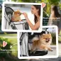 Carrito para Perros Pequeños Plegable hasta 10 kg con 3 Ruedas Capota Ajustable Cesta Ventanas de Malla Portavasos Gris Carrito para Perros Pequeños Plegable hasta 10 kg con 3 Ruedas Capota Ajustable Cesta Ventanas de Malla Portavasos Gris