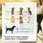 Carrito para Perros Pequeños con Cesta de Almacenaje Ventanas de Malla y Cinturón de Seguridad 77x44x102 cm Café Carrito para Perros Pequeños con Cesta de Almacenaje Ventanas de Malla y Cinturón de Seguridad 77x44x102 cm Café
