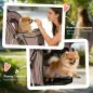 Carrito para Perros Pequeños con Cesta de Almacenaje Ventanas de Malla y Cinturón de Seguridad 77x44x102 cm Café Carrito para Perros Pequeños con Cesta de Almacenaje Ventanas de Malla y Cinturón de Seguridad 77x44x102 cm Café