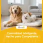 Carrito para Perros Pequeños con Cesta de Almacenaje Ventanas de Malla y Cinturón de Seguridad 77x44x102 cm Café Carrito para Perros Pequeños con Cesta de Almacenaje Ventanas de Malla y Cinturón de Seguridad 77x44x102 cm Café