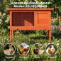 Conejera de Madera Jaula para Conejos Medianos con Techo Asfáltico Abatible Bandeja Extraíble Puerta Naranja Conejera de Madera Jaula para Conejos Medianos con Techo Asfáltico Abatible Bandeja Extraíble Puerta Naranja