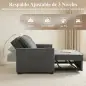 Sofá Cama 2 Plazas 3 en 1 con Respaldo Ajustable Bolsillos Laterales 2 Almohadas para Sala de Estar Gris Oscuro