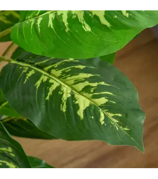 Juego de 2 Árboles Artificiales de 95 cm con Maceta Plantas Sintéticas para Decoración Hogar Salón Oficina Verde