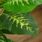 Juego de 2 Árboles Artificiales de 95 cm con Maceta Plantas Sintéticas para Decoración Hogar Salón Oficina Verde