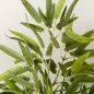 Juego de 2 Bambús Artificiales 90 cm con Maceta Plantas Sintéticas para Decoración Hogar Salón Oficina Verde Juego de 2 Bambús Artificiales 90 cm con Maceta Plantas Sintéticas para Decoración Hogar Salón Oficina Verde