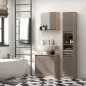 Conjunto de 1 Mueble para Debajo del Lavabo 1 Armario de Baño con Espejo y 1 Columna de Baño Roble y Gris