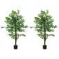 Pack de 2 Plantas Artificiales con Troncos Naturales 150 cm Ficus Sintéticas con 882 Hojas Decoración para Hogar Verde Pack de 2 Plantas Artificiales con Troncos Naturales 150 cm Ficus Sintéticas con 882 Hojas Decoración para Hogar Verde