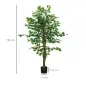 Pack de 2 Plantas Artificiales con Troncos Naturales 150 cm Ficus Sintéticas con 882 Hojas Decoración para Hogar Verde Pack de 2 Plantas Artificiales con Troncos Naturales 150 cm Ficus Sintéticas con 882 Hojas Decoración para Hogar Verde