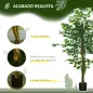 Pack de 2 Plantas Artificiales con Troncos Naturales 150 cm Ficus Sintéticas con 882 Hojas Decoración para Hogar Verde Pack de 2 Plantas Artificiales con Troncos Naturales 150 cm Ficus Sintéticas con 882 Hojas Decoración para Hogar Verde