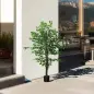 Pack de 2 Plantas Artificiales con Troncos Naturales 150 cm Ficus Sintéticas con 882 Hojas Decoración para Hogar Verde Pack de 2 Plantas Artificiales con Troncos Naturales 150 cm Ficus Sintéticas con 882 Hojas Decoración para Hogar Verde