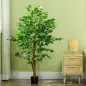 Pack de 2 Plantas Artificiales con Troncos Naturales 150 cm Ficus Sintéticas con 882 Hojas Decoración para Hogar Verde Pack de 2 Plantas Artificiales con Troncos Naturales 150 cm Ficus Sintéticas con 882 Hojas Decoración para Hogar Verde