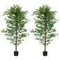 Pack de 2 Plantas Artificiales con Troncos Naturales 180 cm Ficus Sintética con 1260 Hojas Decoración para Hogar Verde Pack de 2 Plantas Artificiales con Troncos Naturales 180 cm Ficus Sintética con 1260 Hojas Decoración para Hogar Verde