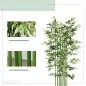 Pack de 2 Bambú Artificial con Maceta de Madera Plantas Artificiales de Decoración para Interior 35x10x180 cm Verde