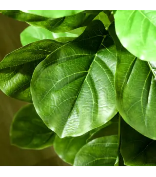 Pack de 2 Ficus Artificiales 110 cm Plantas Artificiales con 90 Hojas Musgo y Maceta para Interior Verde