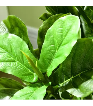 Pack de 2 Ficus Artificiales 110 cm Plantas Artificiales con 90 Hojas Musgo y Maceta para Interior Verde