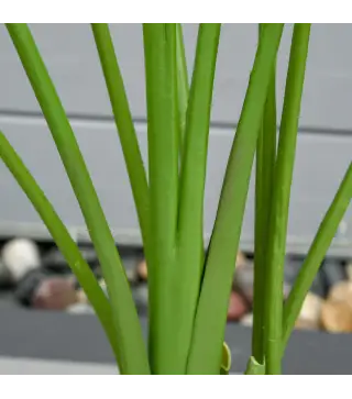 2 Plantas Artificiales de 160 cm Bananera con Maceta y 10 Hojas Realistas para Decoración en Interior Verde