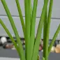2 Plantas Artificiales de 160 cm Bananera con Maceta y 10 Hojas Realistas para Decoración en Interior Verde 2 Plantas Artificiales de 160 cm Bananera con Maceta y 10 Hojas Realistas para Decoración en Interior Verde