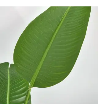 2 Plantas Artificiales de 160 cm Bananera con Maceta y 10 Hojas Realistas para Decoración en Interior Verde