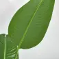 2 Plantas Artificiales de 160 cm Bananera con Maceta y 10 Hojas Realistas para Decoración en Interior Verde 2 Plantas Artificiales de 160 cm Bananera con Maceta y 10 Hojas Realistas para Decoración en Interior Verde