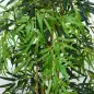 Pack de 2 Bambú Artificiales 150 cm con 1095 Hojas Maceta Decoración para Interior Hogar Verde