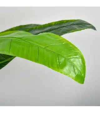 Pack de 2 Plataneras Plantas Artificiales 150 cm con Maceta y 18 Hojas para Decoración de Hogar Salón Verde