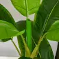 Pack de 2 Plataneras Plantas Artificiales 150 cm con Maceta y 18 Hojas para Decoración de Hogar Salón Verde Pack de 2 Plataneras Plantas Artificiales 150 cm con Maceta y 18 Hojas para Decoración de Hogar Salón Verde