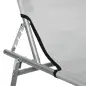 Set de 2 Tumbonas de Jardín Reclinables con Toldo Desmontable y Respaldo Ajustable en 4 Niveles 187x58x36cm Gris Claro Set de 2 Tumbonas de Jardín Reclinables con Toldo Desmontable y Respaldo Ajustable en 4 Niveles 187x58x36cm Gris Claro