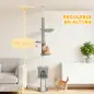 Árbol para Gatos de Piso a Techo Altura Ajustable 220-240cm con Hamaca Plataformas en Flor Cuevas Rampa Bola Gris Claro
