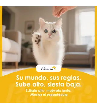 Árbol para Gatos de Piso a Techo Altura Ajustable 220-240cm con Hamaca Plataformas en Flor Cuevas Rampa Bola Gris Claro