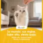 Árbol para Gatos de Piso a Techo Altura Ajustable 220-240cm con Hamaca Plataformas en Flor Cuevas Rampa Bola Gris Claro
