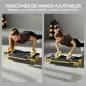 Pilates Reformer Multifuncional con Bandas de Resistencia Asas para Casa Gimnasio Natural Pilates Reformer Multifuncional con Bandas de Resistencia Asas para Casa Gimnasio Natural