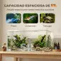 Acuario de Pecera 51 L Pecera de Cristal con Alfombrilla Protectora para Peces Camarones y Tortugas Transparente Acuario de Pecera 51 L Pecera de Cristal con Alfombrilla Protectora para Peces Camarones y Tortugas Transparente