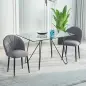 Conjunto de 2 sillas de Comedor Silla de Cocina Terciopelo Patas metal Gris 52x54x79 cm Conjunto de 2 sillas de Comedor Silla de Cocina Terciopelo Patas metal Gris 52x54x79 cm