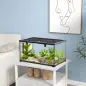 Terrario para Reptiles de Vidrio con Termómetro Cuenco de Agua para Lagartos Serpientes Arañas 50x30x25 cm Negro Terrario para Reptiles de Vidrio con Termómetro Cuenco de Agua para Lagartos Serpientes Arañas 50x30x25 cm Negro