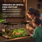 Terrario para Reptiles de Vidrio con Termómetro Cuenco de Agua para Lagartos Serpientes Arañas 50x30x25 cm Negro Terrario para Reptiles de Vidrio con Termómetro Cuenco de Agua para Lagartos Serpientes Arañas 50x30x25 cm Negro