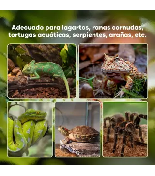 Terrario para Reptiles de Vidrio con Termómetro Cuenco de Agua para Lagartos Serpientes Arañas 50x30x25 cm Negro